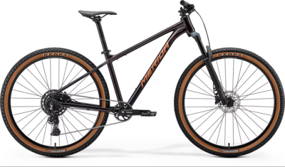 Merida Big.Nine 40 Hardtail