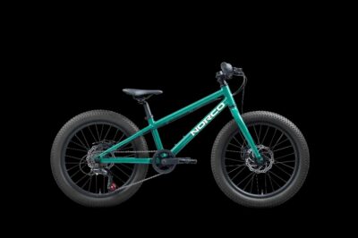 Norco Storm 20 Disc